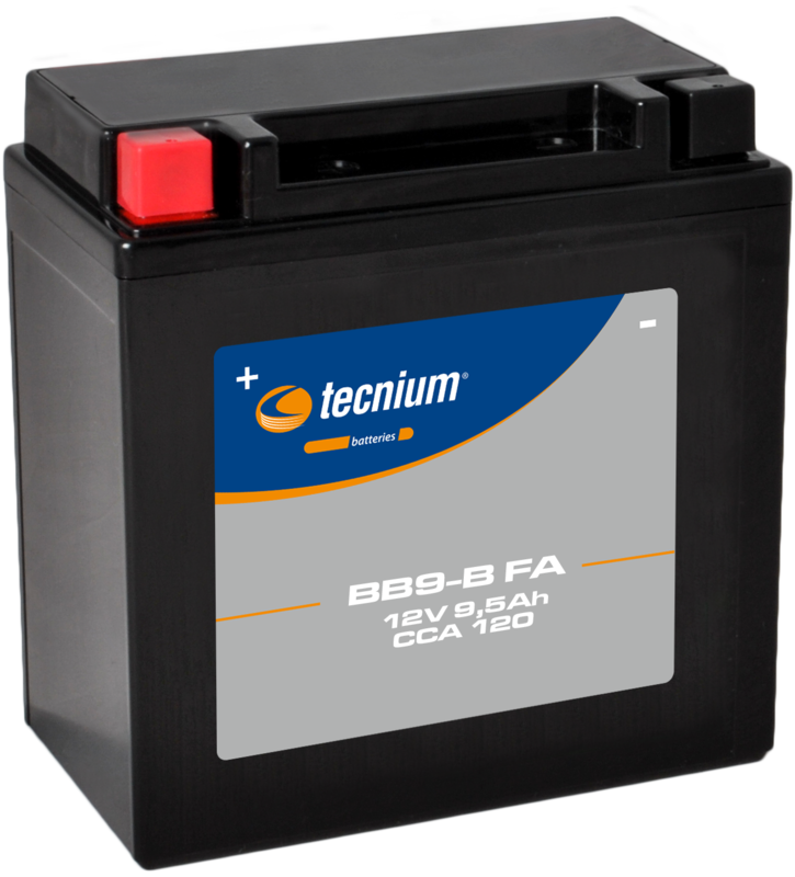 Tecnium Pile sans entretien activée en usine - BB9-B