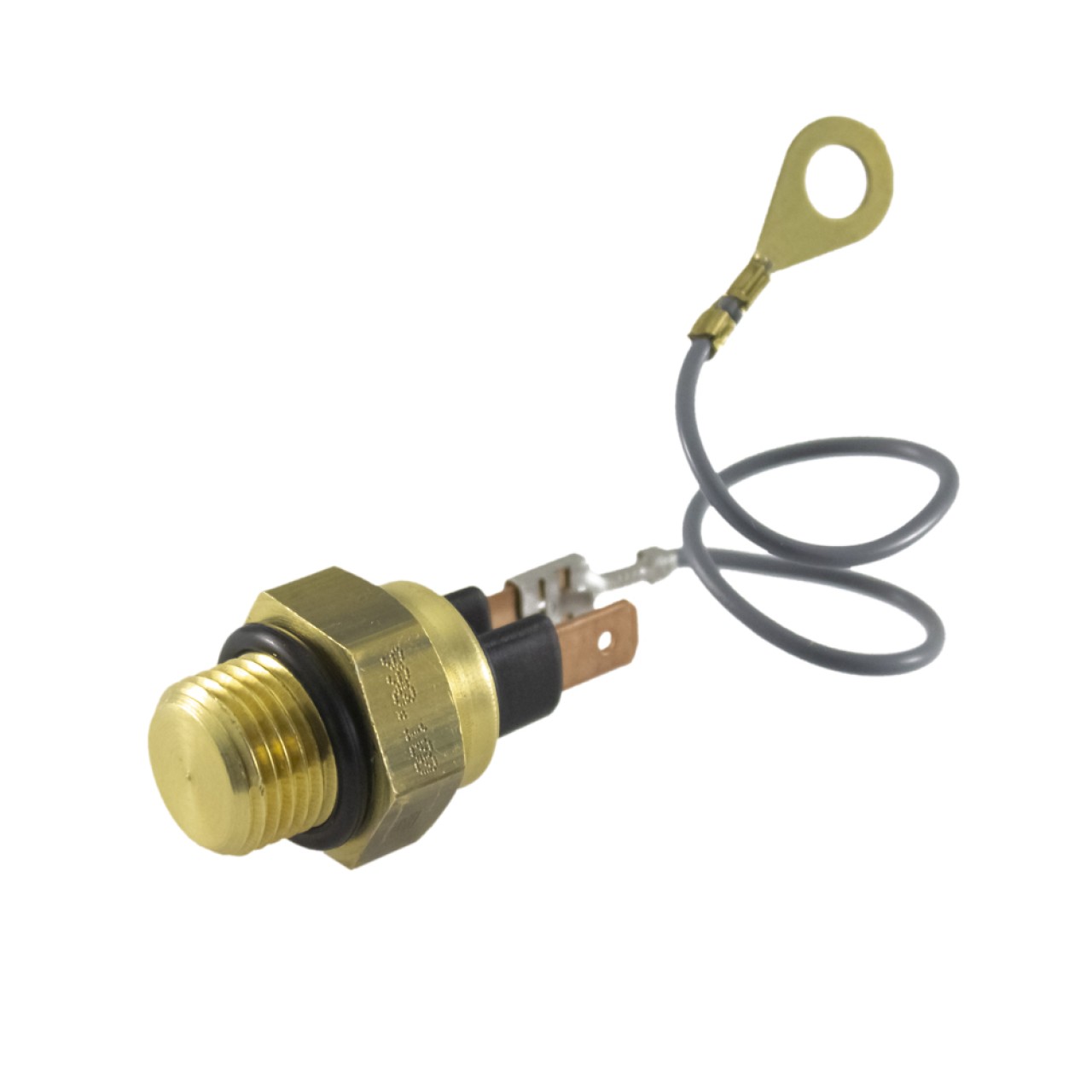 RMS Sonde de température de l'eau